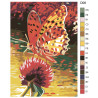 Раскладка Бабочка на цветке Раскраска по номерам на холсте Живопись по номерам D06
