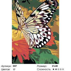 Количество цветов и сложность Невесомая бабочка Раскраска по номерам на холсте Живопись по номерам D07