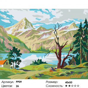 Количество цветов и сложность Уединение в горах Раскраска по номерам на холсте Живопись по номерам PP09