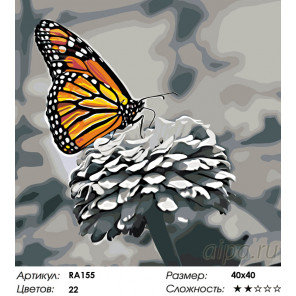 Количество цветов и сложность Прекрасная бабочка Раскраска по номерам на холсте Живопись по номерам RA155
