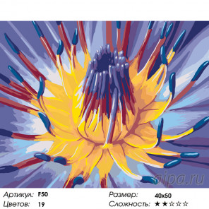  Сердце цветка Раскраска по номерам на холсте Живопись по номерам F50