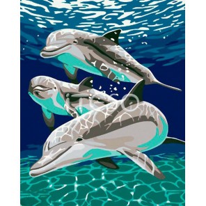 Дельфины 30х40 Раскраска по номерам акриловыми красками на холсте