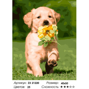  Смышленый щенок Раскраска картина по номерам на холсте ZX 21220