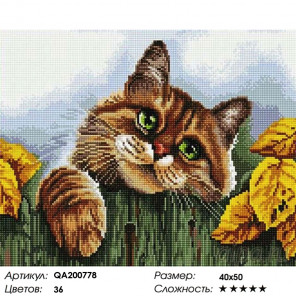 Количество цветов и сложность Кот на заборе Алмазная мозаика на подрамнике Painting Diamond QA200778