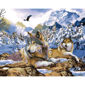 Волки в горах Алмазная картина-раскраска