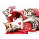 Котятки с валентинкой Раскраска картина по номерам на холсте