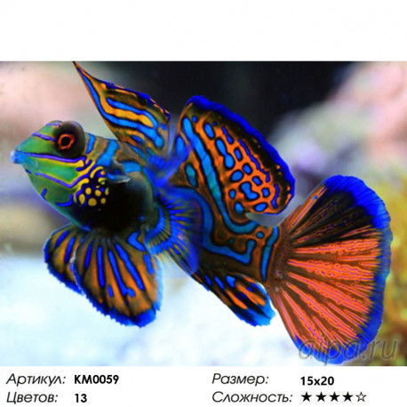 Количество цветов и сложность Радужная рыбка Алмазная частичная вышивка (мозаика) Molly KM0059