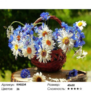 Количество цветов и сложность Ромашковое лето Раскраска картина по номерам на холсте Molly KH0234