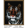 Количество цветов и сложность Портрет тигра Алмазная мозаика вышивка на подрамнике Molly KM0007