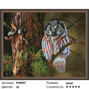 Количество цветов и сложность Ночной охотник Алмазная мозаика вышивка на подрамнике Molly KM0031