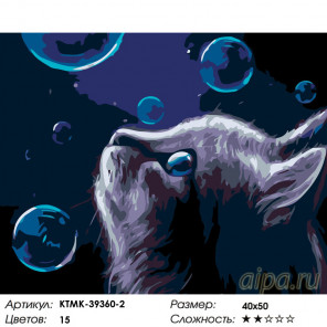 Раскладка Волшебные пузыри Раскраска по номерам на холсте Живопись по номерам KTMK-39360-2
