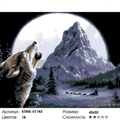 Количество цветов и сложность Северная луна Раскраска по номерам на холсте Живопись по номерам KTMK-01143