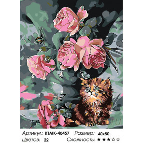 Количество цветов и сложность Крошечный котенок Раскраска по номерам на холсте Живопись по номерам KTMK-40457