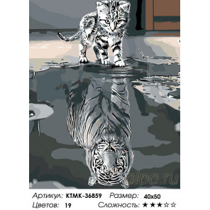 Раскладка Отражение характера Раскраска по номерам на холсте Живопись по номерам KTMK-36859