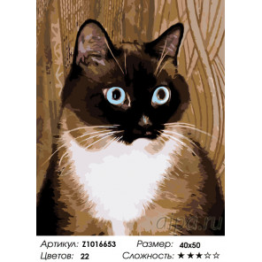 Раскладка Игривый взгляд кота Раскраска по номерам на холсте Живопись по номерам Z1016653