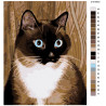 Раскладка Игривый взгляд кота Раскраска по номерам на холсте Живопись по номерам Z1016653