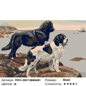 Раскладка Собаки у моря Раскраска по номерам на холсте Живопись по номерам PHTO-2501128406041
