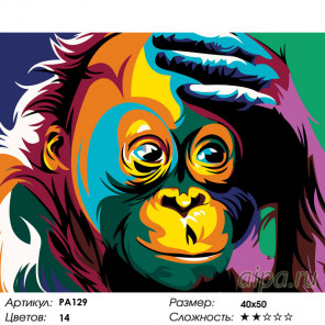 Количество цветов и сложность Удивление радужной обезьяны Раскраска по номерам на холсте Живопись по номерам PA129