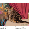 Уголок кота Раскраска по номерам на холсте Живопись по номерам