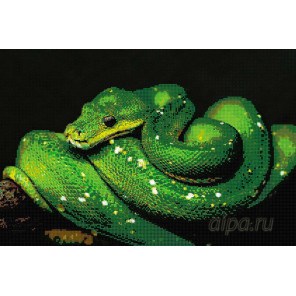 Раскладка Изумрудная змея Алмазная вышивка мозаика DI-H7