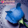  Синяя роза Алмазная вышивка мозаика АЖ-0015