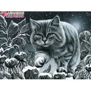  Кот на заборе Алмазная вышивка мозаика АЖ-1415