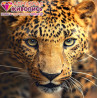  Портрет леопарда Алмазная вышивка мозаика АЖ-1400