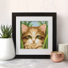  Зеленоглазый котенок Алмазная вышивка мозаика АЖ-1640